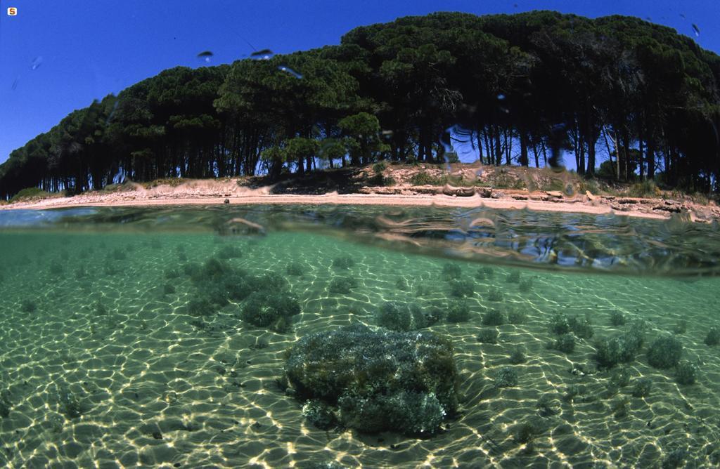 Solmido Appartement Alghero